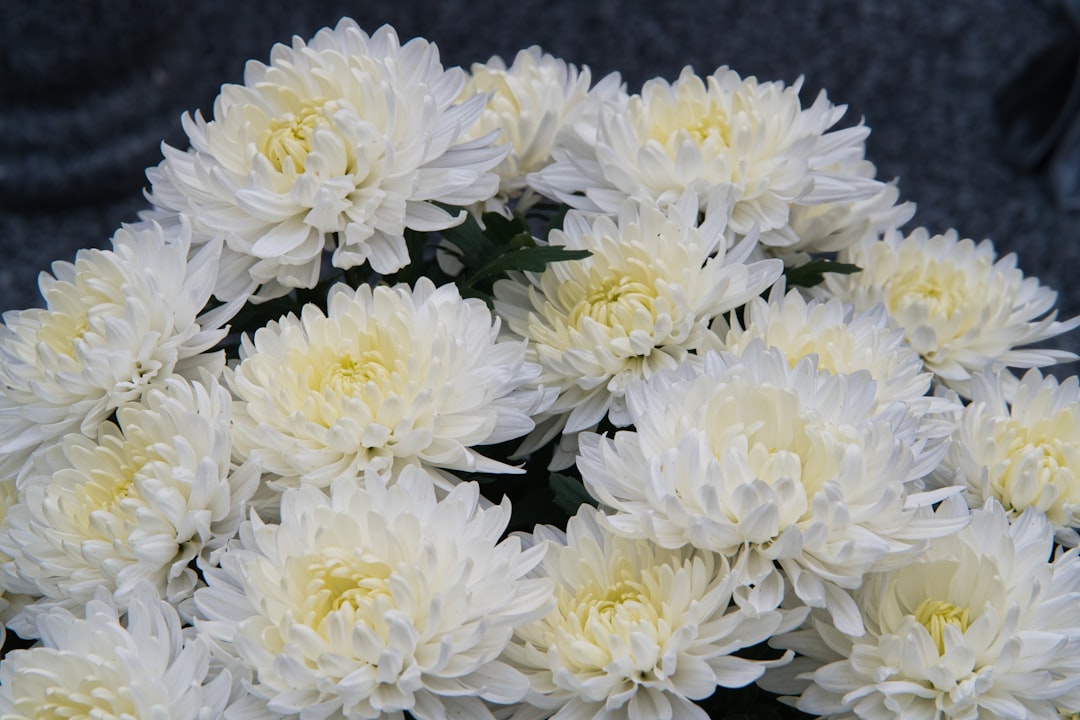 근조화환