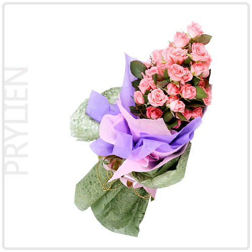 프릴리엔(Prylien)