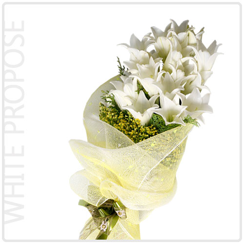 추모백합(Special Lily)