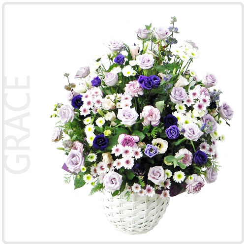 그레이스(Grace)