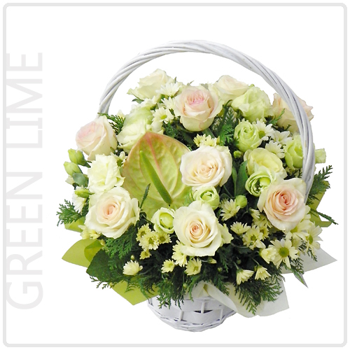 그린라임(Green Lime)