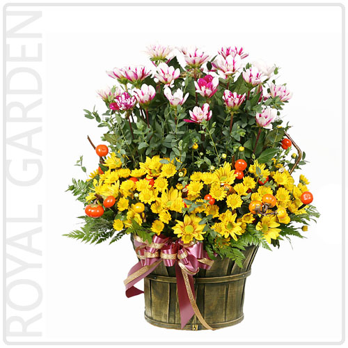 로얄가든(Royal Garden)