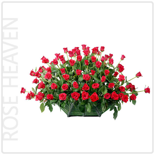 로즈헤븐(Rose Heaven)(수도권한정/예약주문)