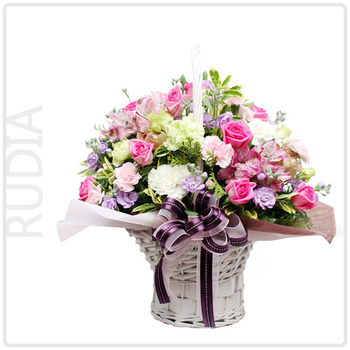 루디아(Rudia)
