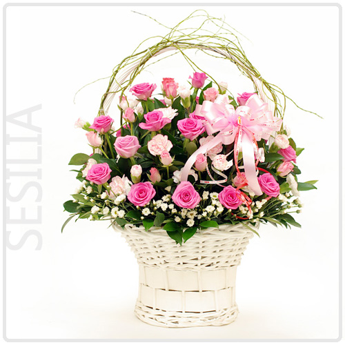 세실리아(Sesilia)