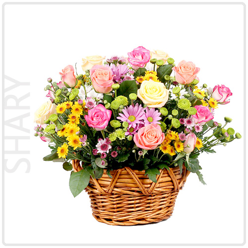 쉐리