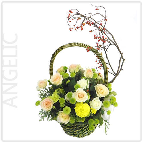 엔젤릭(Angelic)