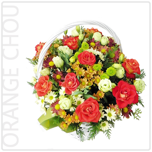 오렌지슈(Orange Chou)