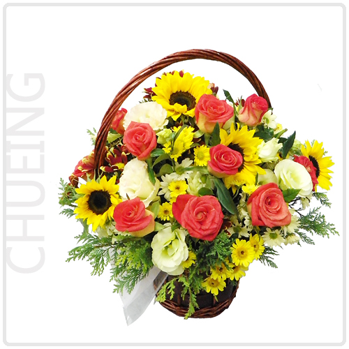 츄잉(Chueing)