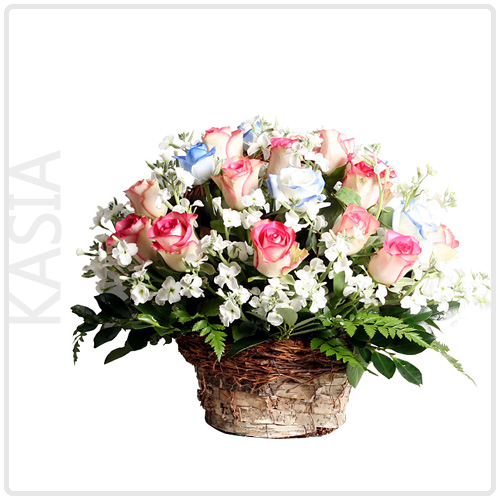 카시아(Kasia)(수도권한정/예약주문)
