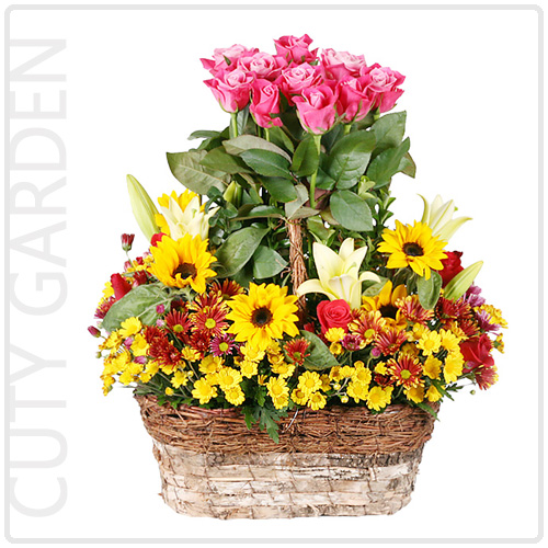 큐티가든(Cuty Garden)