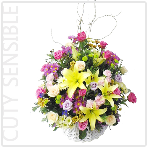 큐티센서블(Cuty Sensible)(예약주문)