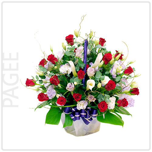 페이지(Pagee)