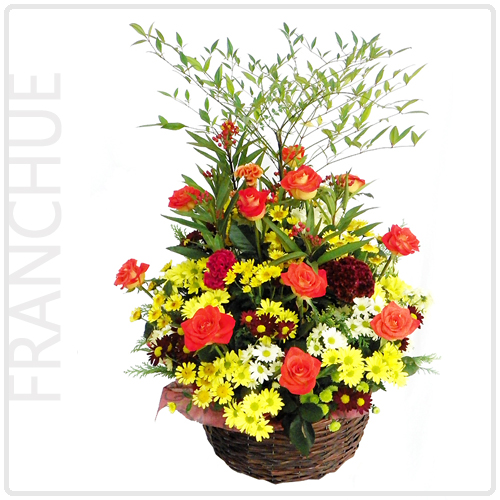 프랑슈(Franchue)
