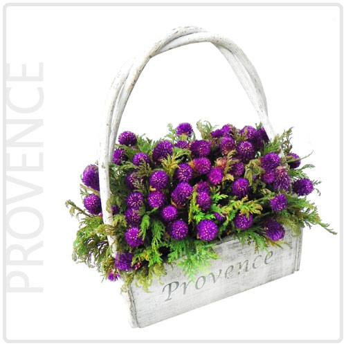 프로방스(Provence)